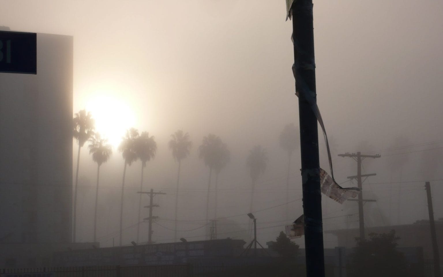 What is Video Art? Top 20 Artists & Examples — CAI