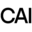 www.contemporaryartissue.com